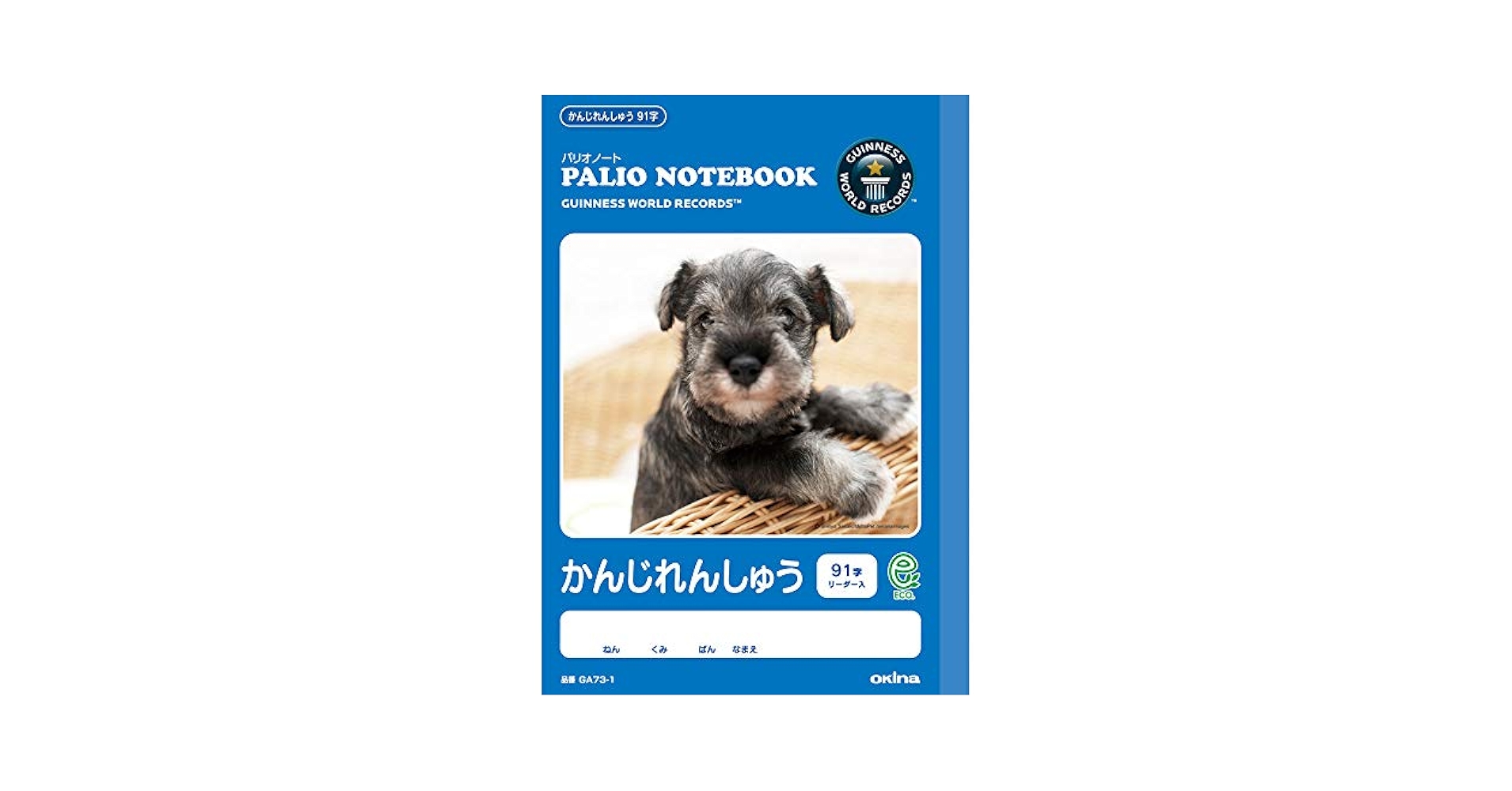 Amazon.co.jp: オキナ パリオノート セミB5 かんじれんしゅう91
